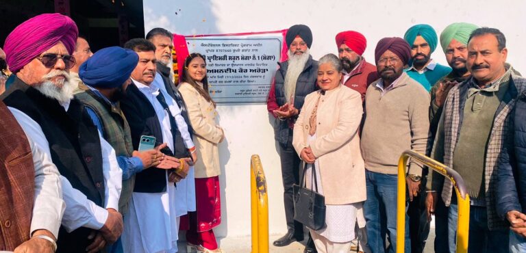 WhatsApp Image 2024-12-17 at 3.43.34 PM (1)