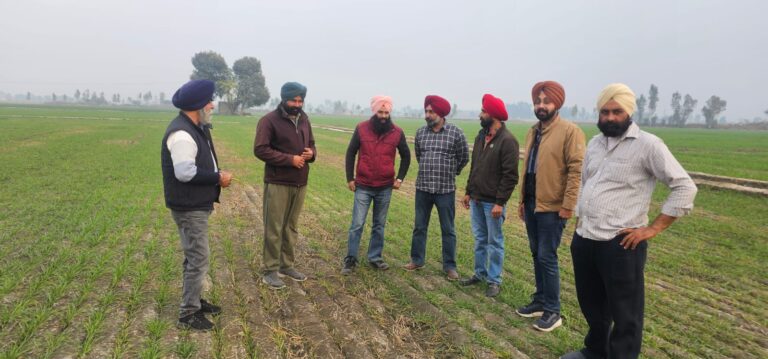 WhatsApp Image 2024-12-18 at 16.26.12