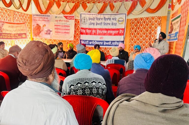 WhatsApp Image 2024-12-18 at 16.57.00