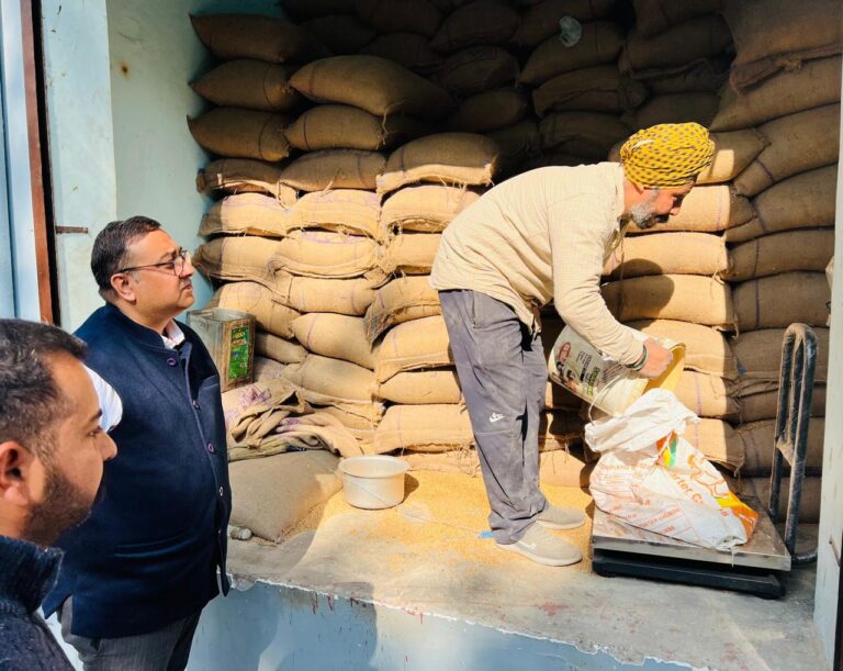 WhatsApp Image 2024-12-18 at 3.50.14 PM