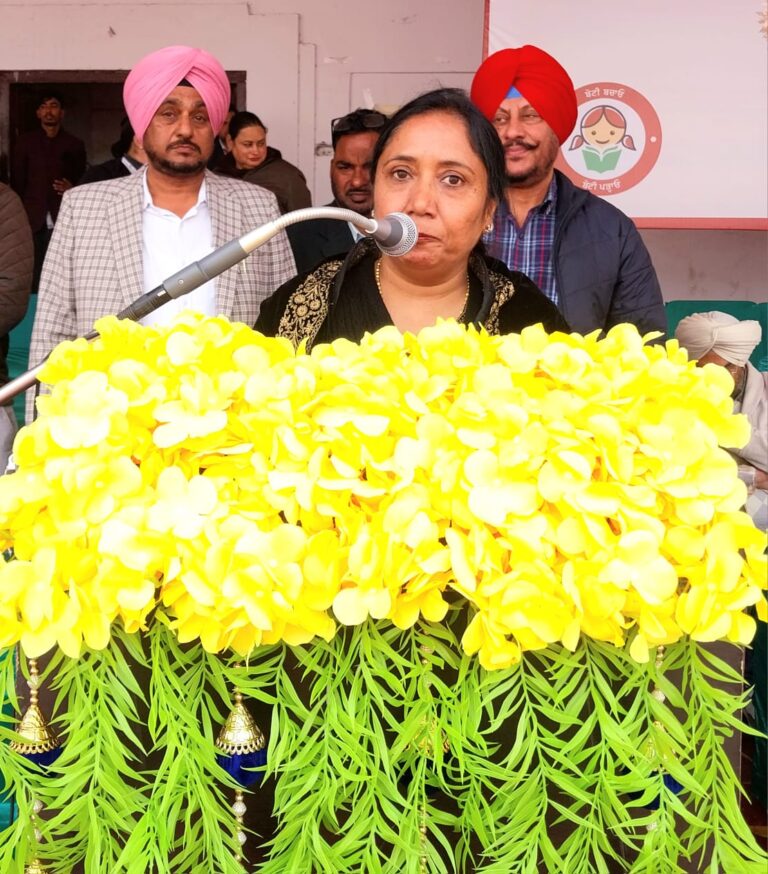 WhatsApp Image 2024-12-19 at 13.56.59 (1)