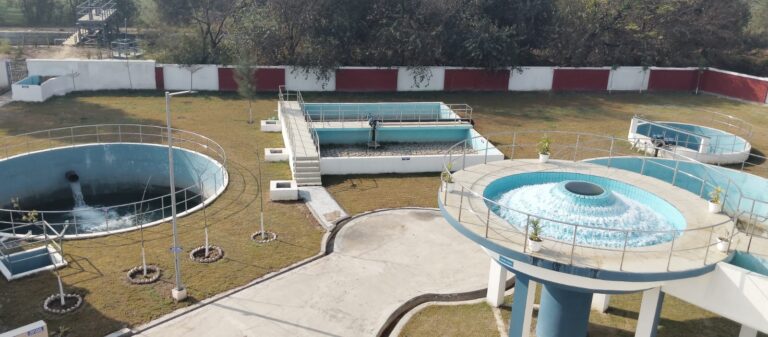 WhatsApp Image 2025-01-01 at 10.02.46 AM