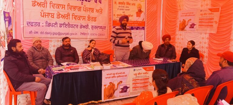 WhatsApp Image 2025-01-02 at 12.06.40 PM