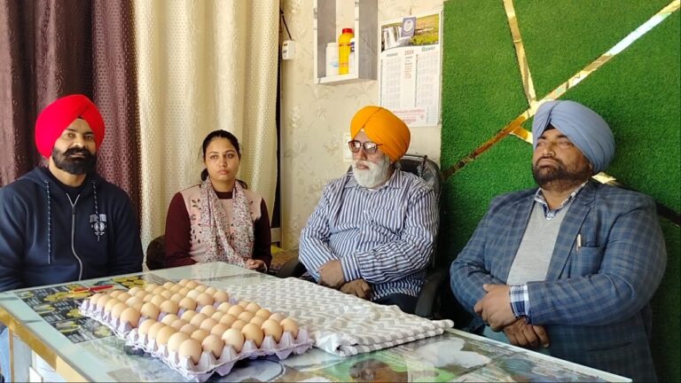 WhatsApp Image 2025-01-14 at 3.07.28 PM