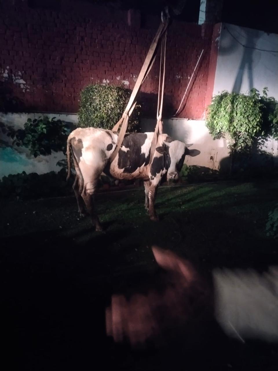 WhatsApp Image 2025-01-24 at 10.44.48 AM