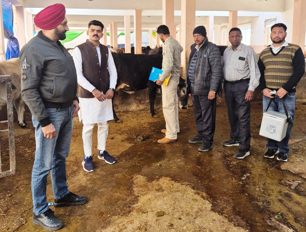 WhatsApp Image 2025-02-15 at 10.18.23 AM