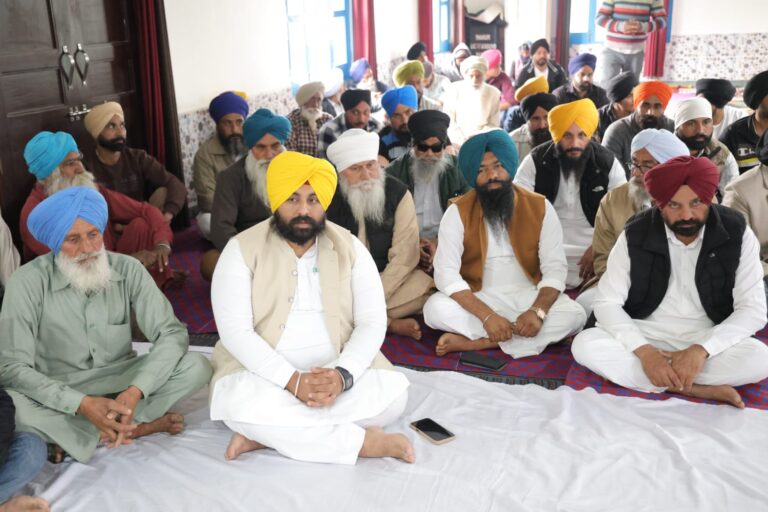 WhatsApp Image 2025-02-16 at 12.51.50 PM