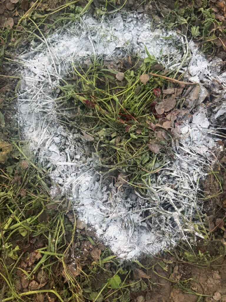 WhatsApp Image 2025-03-17 at 7.27.58 AM