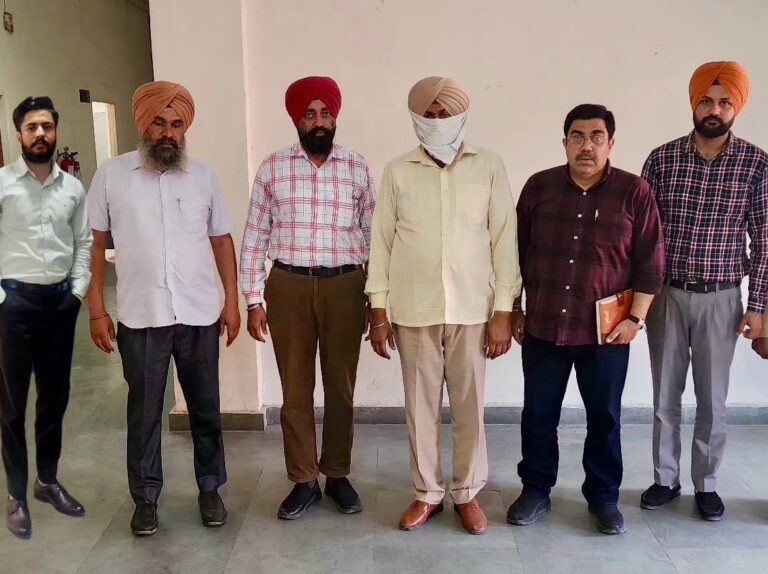 WhatsApp Image 2025-03-19 at 6.28.02 PM