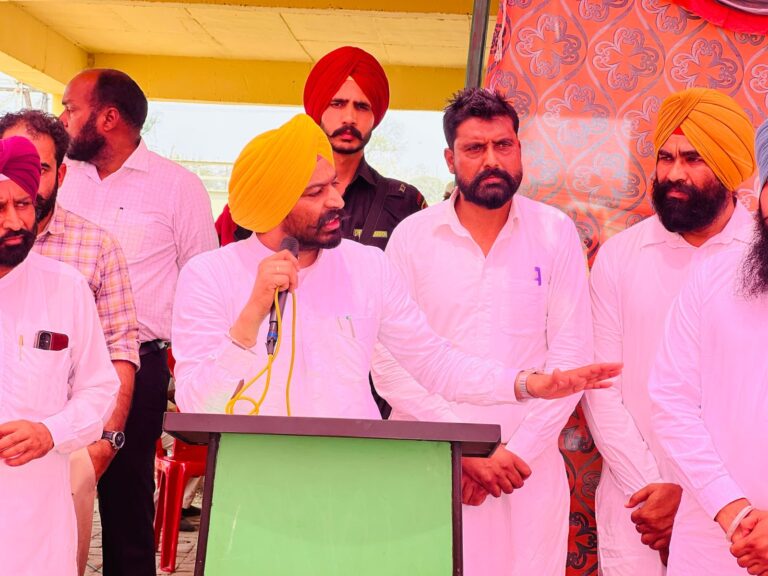 WhatsApp Image 2025-04-15 at 3.57.10 PM (2)