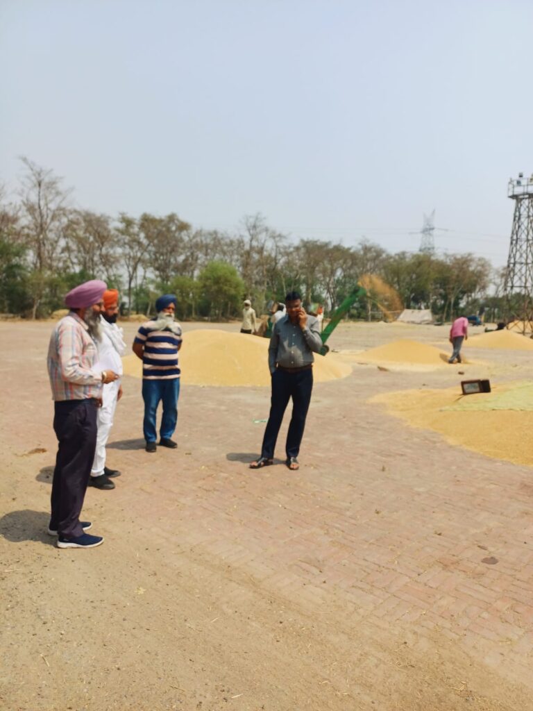 WhatsApp Image 2025-04-16 at 12.16.12 PM