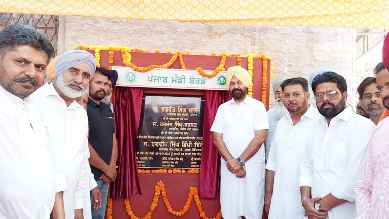 WhatsApp Image 2025-04-18 at 12.14.27 PM