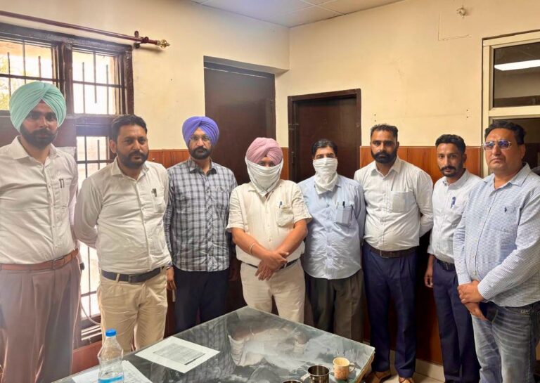 WhatsApp Image 2025-04-22 at 6.48.00 PM