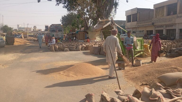 WhatsApp Image 2025-04-23 at 5.19.17 AM