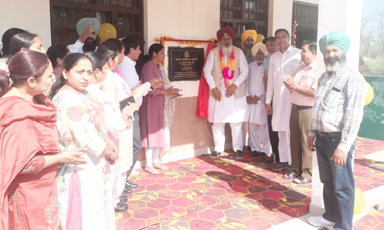 WhatsApp Image 2025-04-24 at 13.03.07