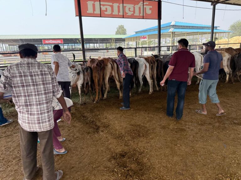 5dc839b0-5dae-4afa-93ec-032eb5ec2326