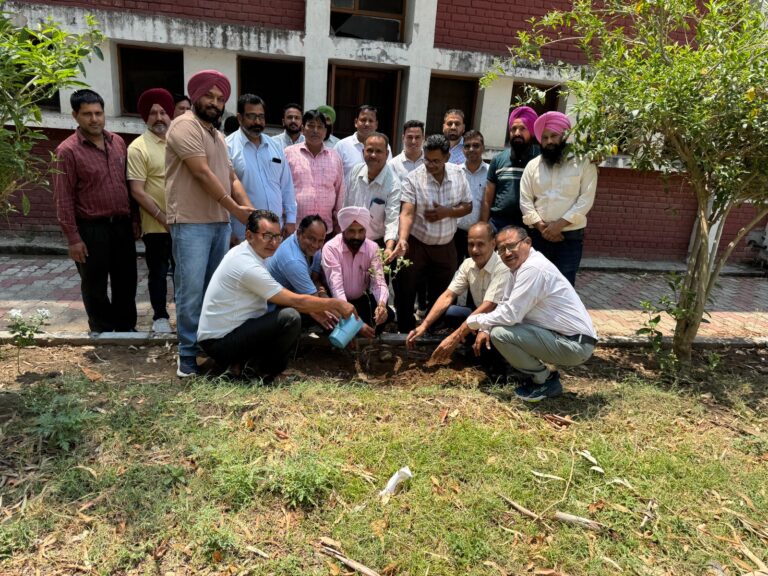 WhatsApp Image 2025-06-05 at 5.44.18 PM