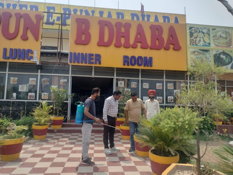 WhatsApp Image 2025-06-13 at 1.00.57 PM