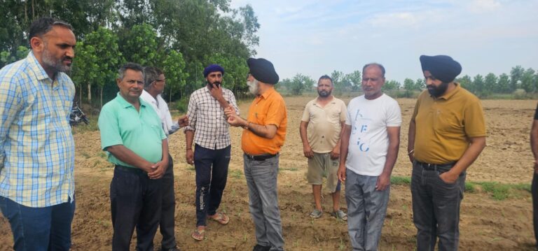 WhatsApp Image 2025-06-19 at 5.58.28 PM (1)