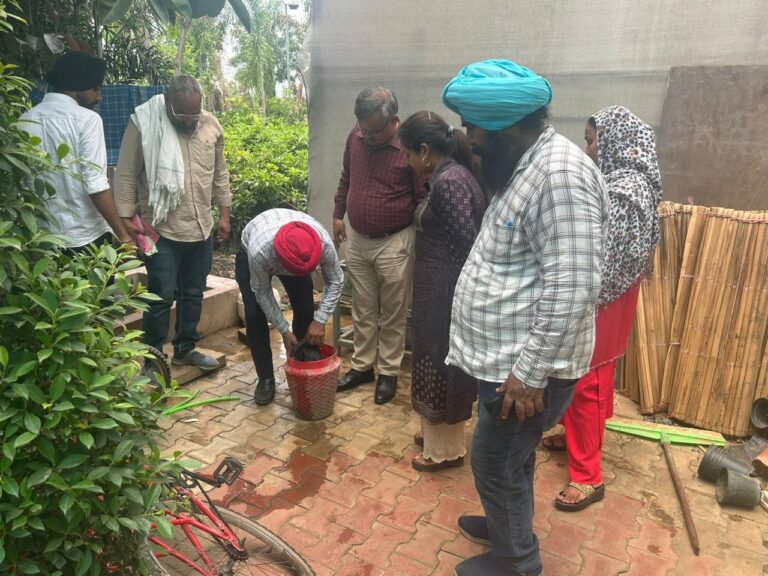 WhatsApp Image 2025-06-20 at 3.28.20 PM