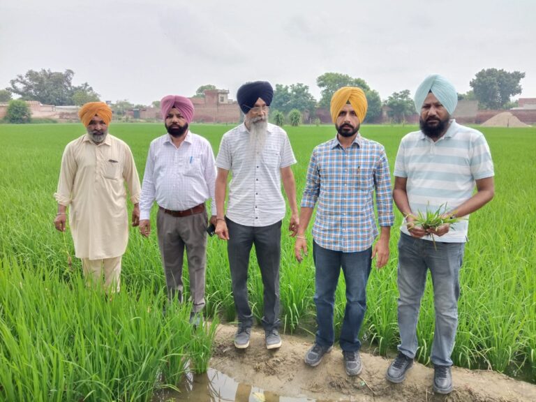 PHOTO-2025-07-21-13-55-07