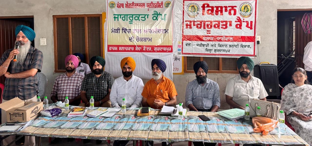 WhatsApp Image 2025-07-10 at 12.19.20 PM (2)