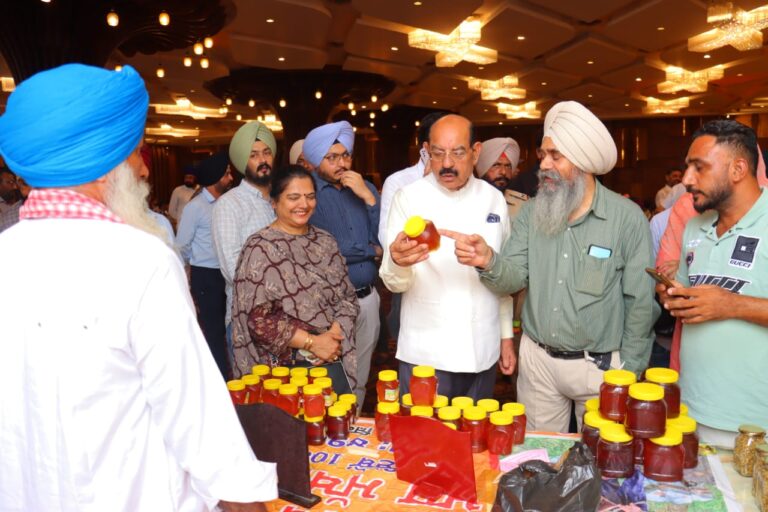 WhatsApp Image 2025-07-18 at 6.41.58 PM (1)