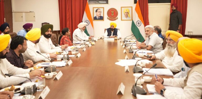 WhatsApp Image 2025-08-14 at 2.55.16 PM