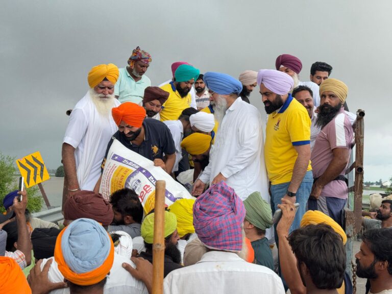 WhatsApp Image 2025-09-02 at 7.01.28 PM (1)