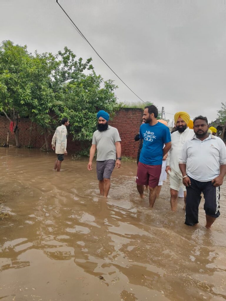 WhatsApp Image 2025-09-04 at 7.13.41 PM (1)