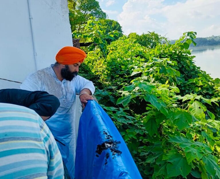 WhatsApp Image 2025-09-05 at 6.31.45 PM (1)