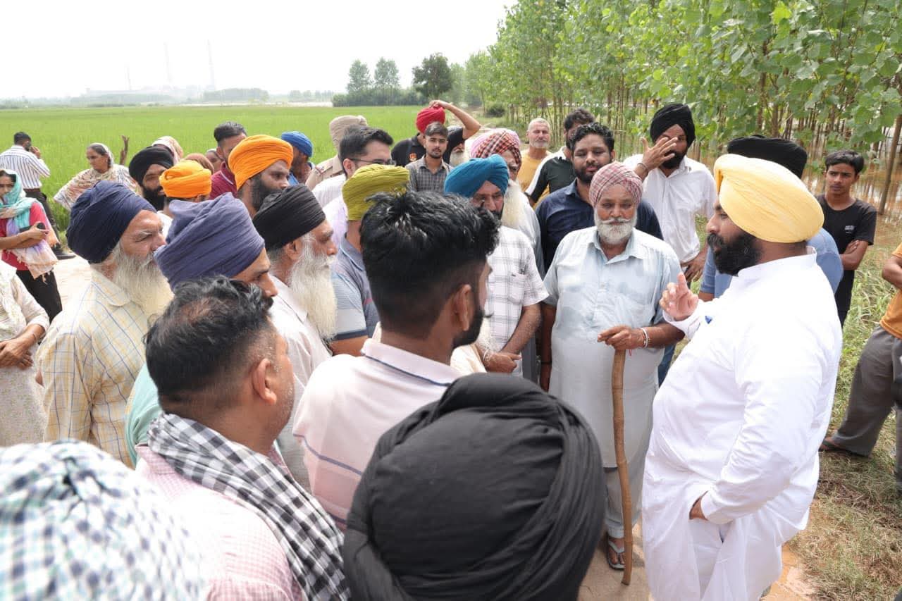 WhatsApp Image 2025-09-18 at 3.55.09 PM