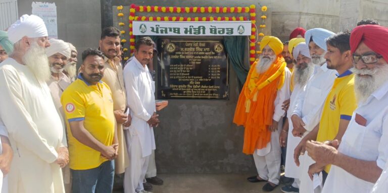 Lambi Pics 10.1025 (5)