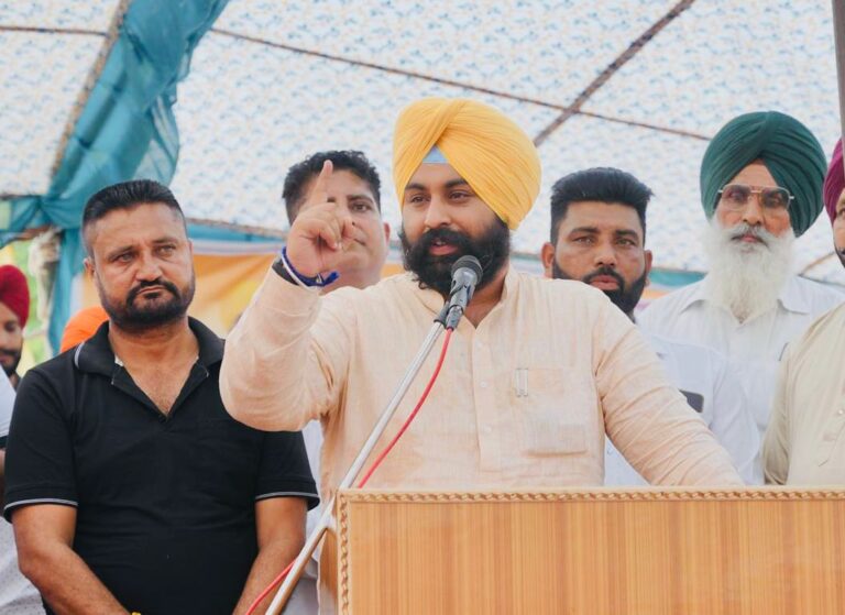 WhatsApp Image 2025-10-02 at 7.09.35 PM (2)