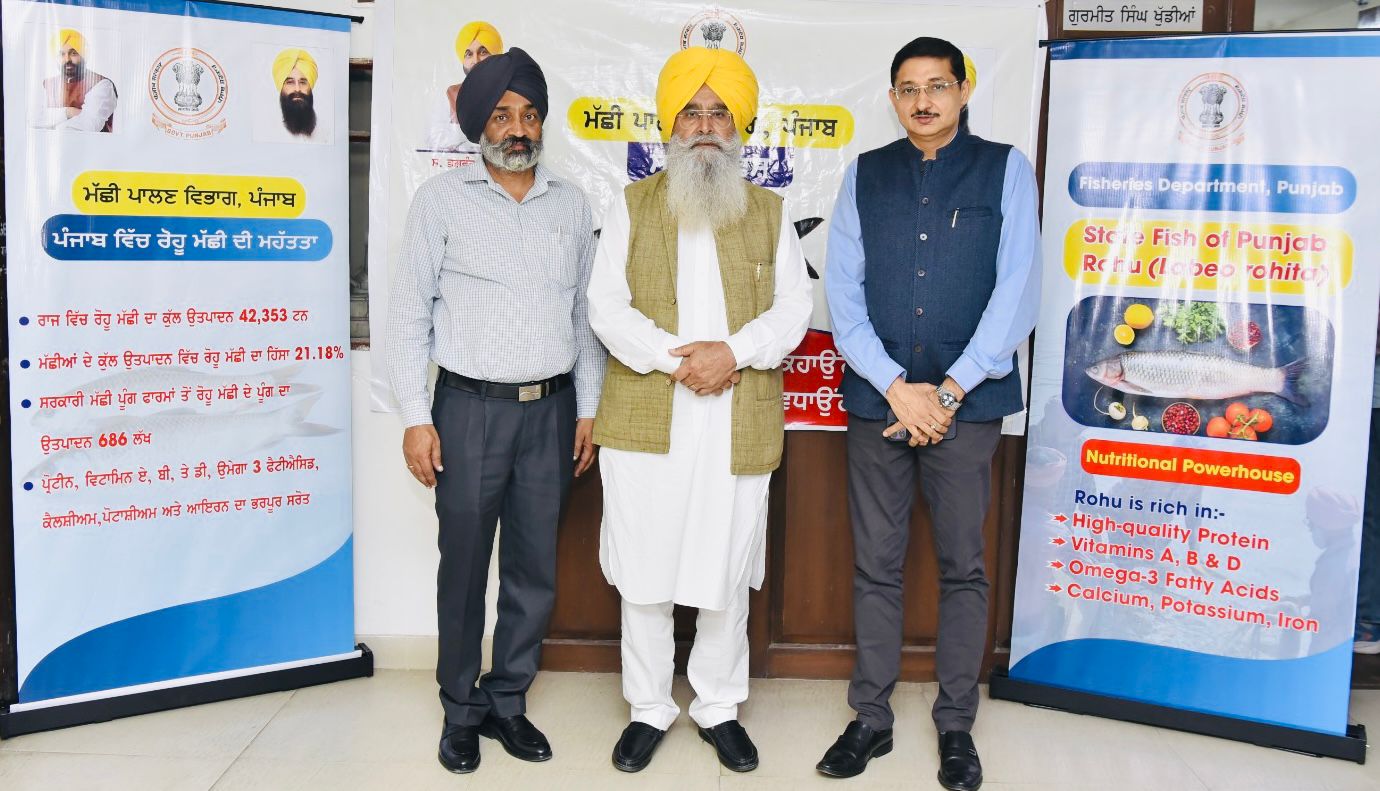 WhatsApp Image 2025-10-31 at 5.42.50 PM (1)