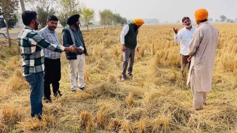 Agri Pics 21.11.25 (1)