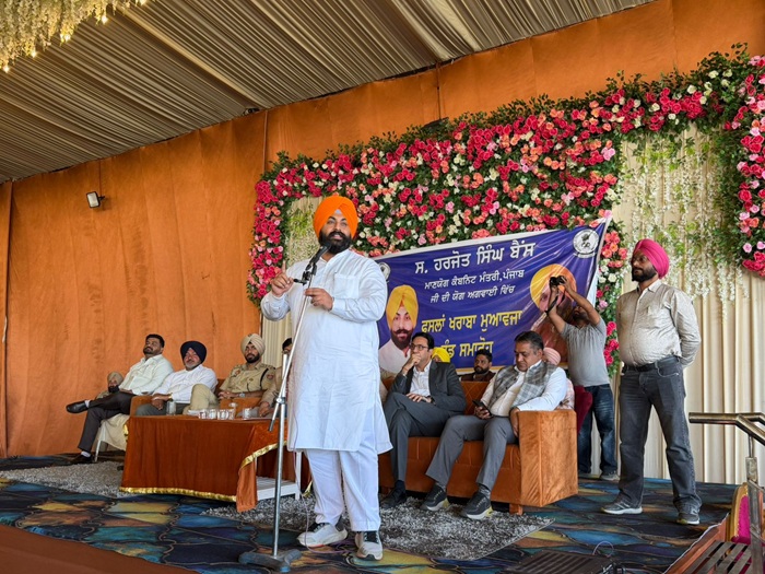 WhatsApp Image 2025-11-14 at 7.36.47 PM