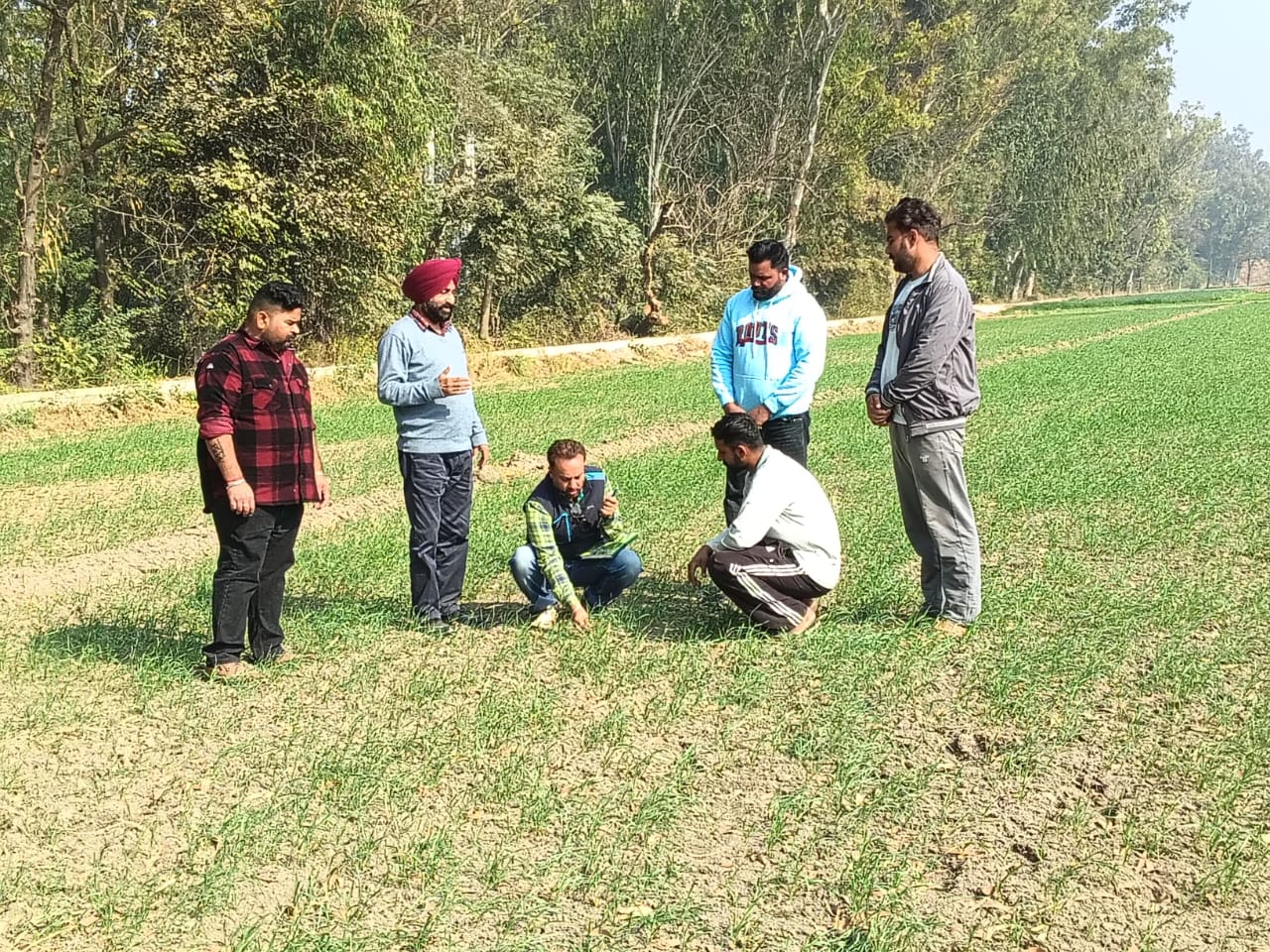 Pic 11-12-2025 (2) (1)