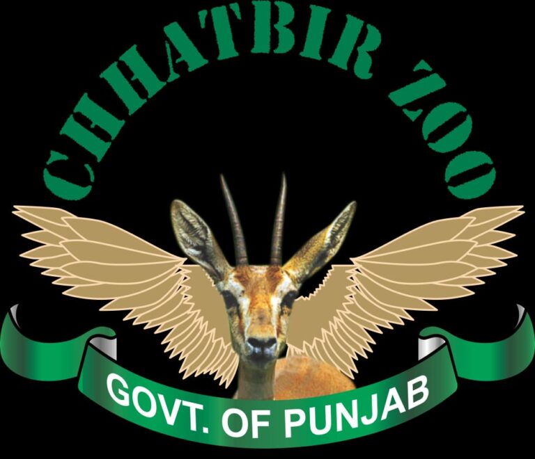 WhatsApp Image 2026-01-06 at 5.34.01 PM