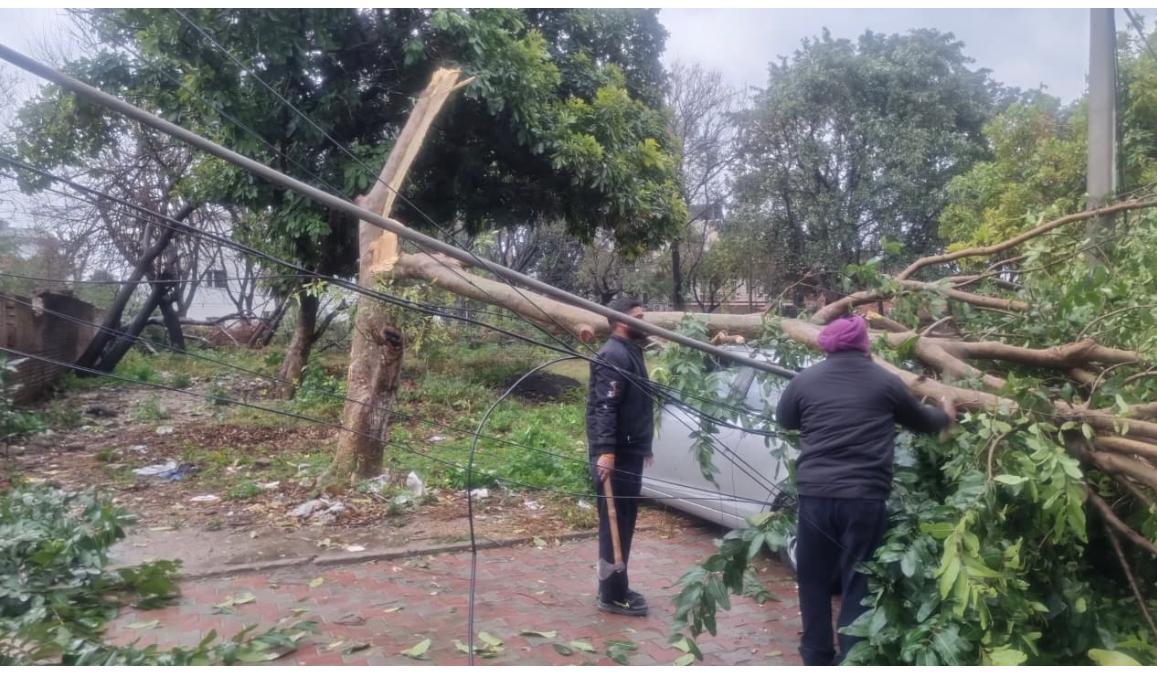 WhatsApp Image 2026-01-23 at 8.54.23 PM