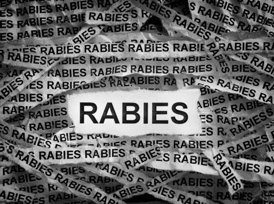 babushahi-updates-(84)-1768307073815