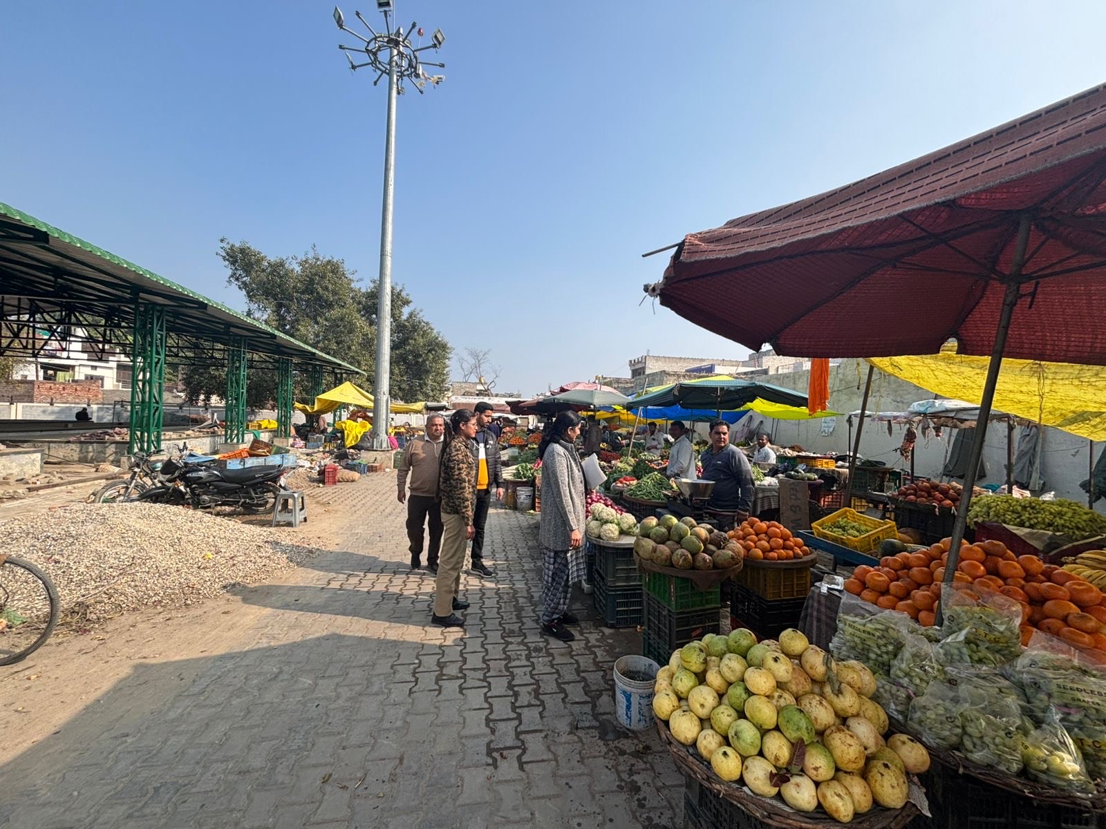 76681843-c5e4-420d-b0fe-a7366a33451f