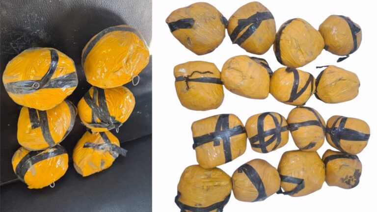 WhatsApp Image 2026-02-07 at 7.04.59 PM