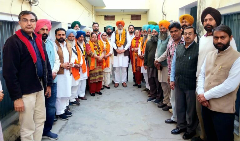 WhatsApp Image 2026-02-12 at 16.41.47