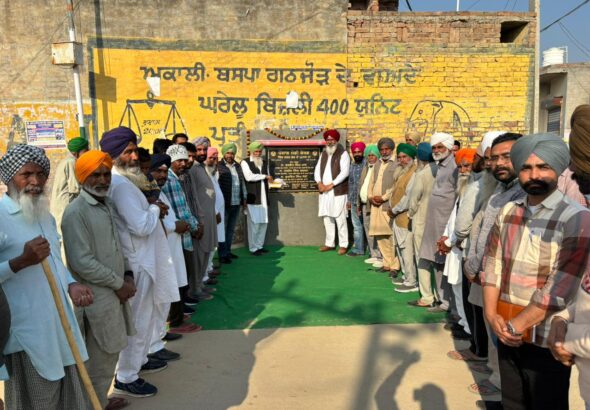 WhatsApp Image 2026-02-13 at 16.12.50