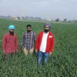 WhatsApp Image 2026-02-17 at 3.53.44 PM