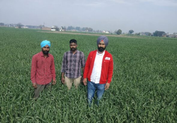 WhatsApp Image 2026-02-17 at 3.53.44 PM