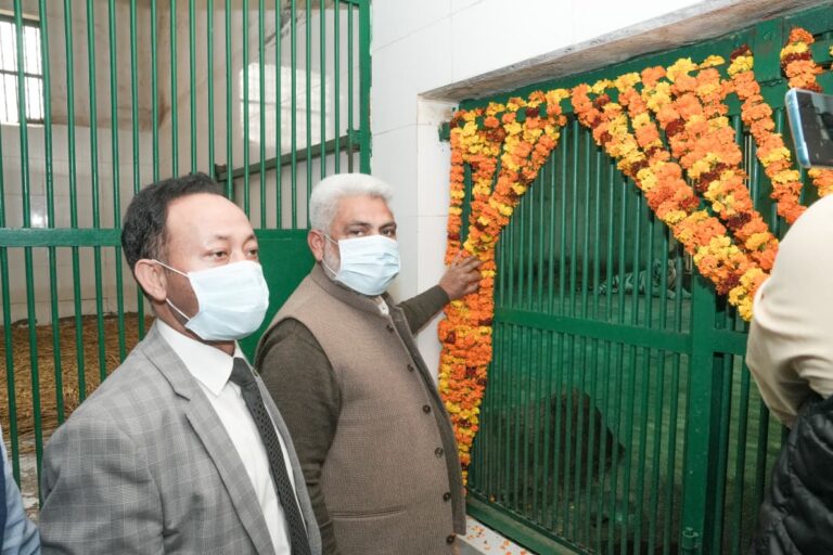 WhatsApp Image 2026-02-19 at 6.38.16 PM