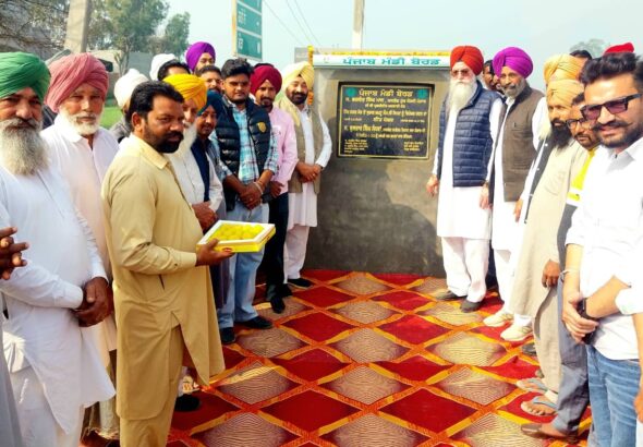 WhatsApp Image 2026-02-20 at 13.15.37