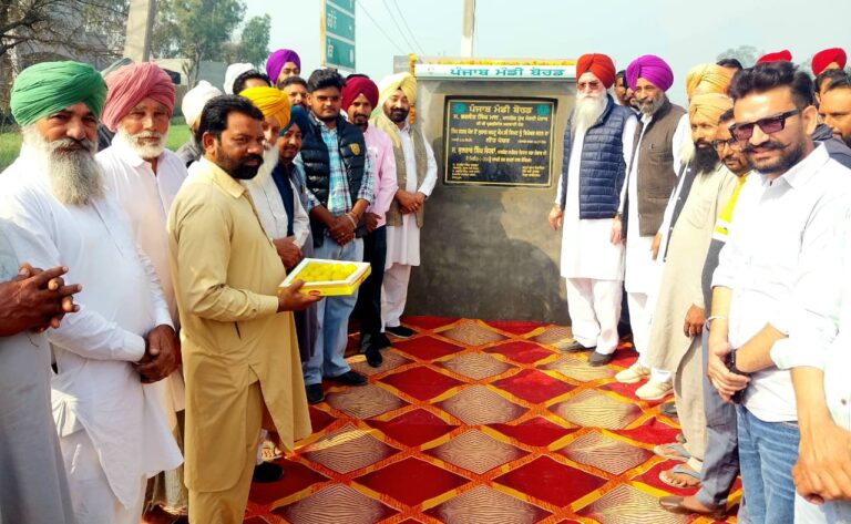 WhatsApp Image 2026-02-20 at 13.15.37